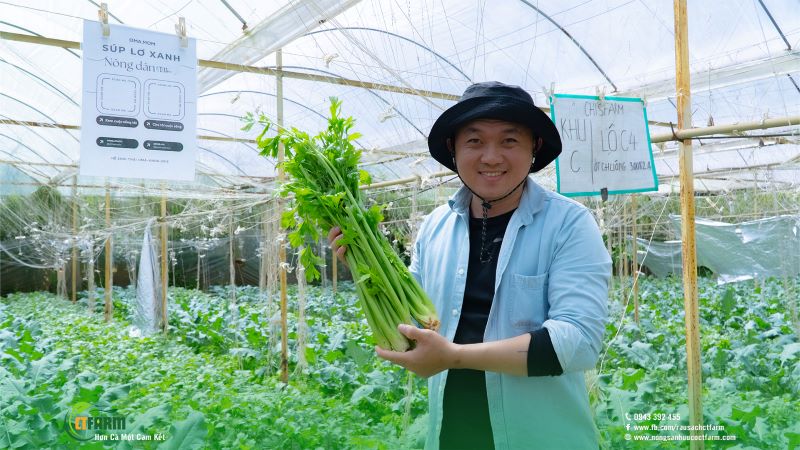 Cần tây - Công Ty TNHH Nông Sản Hữu Cơ CTFARM